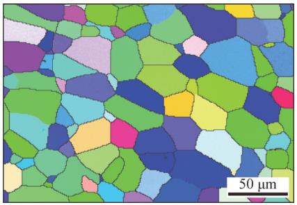 電解拋光工藝對工業(yè)純鈦表面特性的影響