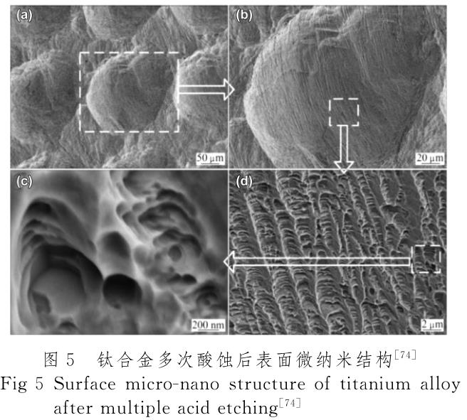 醫(yī)用鈦合金表面改性技術研究進展